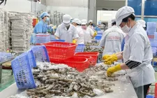 4 tháng, nông lâm thủy sản xuất siêu gần 5,2 tỷ USD