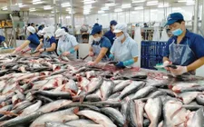 Giữ đà tăng trưởng xuất khẩu thủy sản