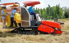 Thị trường cho gạo phát thải thấp