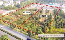 Hà Nội giao hơn 10.000m2 đất tại Long Biên làm dự án biệt thự thấp tầng