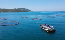 Ngành thủy sản thích ứng biến động thương mại toàn cầu