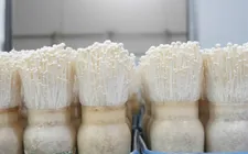 Người tiêu dùng ưu tiên chọn mô hình từ nông trại đến bàn ăn