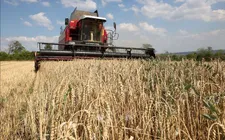 EU sẽ giảm hạn ngạch miễn thuế đối với các sản phẩm nông nghiệp của Ukraine