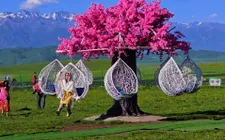 Trung Quốc nổi lên xu hướng du lịch "dưỡng sinh"