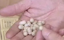 Tăng cường kỷ luật công vụ, siết chặt kiểm soát hàng giả trong lĩnh vực y tế