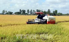 Chủ động kịch các kịch bản tiêu thụ nông sản