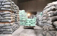 Xuất bán gần 90.000 tấn lương thực dự trữ quốc gia
