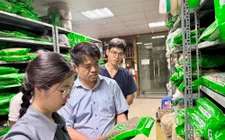 Bộ Y tế thành lập 15 tổ kiểm tra, mở cao điểm xử lý buôn lậu, hàng giả trong lĩnh vực y tế