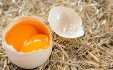 Đề nghị Bộ Công an điều tra, xử lý việc tung tin trứng giả