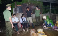 Phát hiện và tiêu huỷ gần 3 tấn thịt lợn nhiễm virus tại lò mổ “chui”