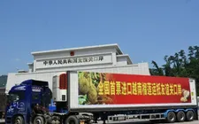 Thiết lập "luồng xanh" để nông sản tăng tốc sang Trung Quốc