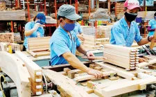 Hoa Kỳ điều tra gỗ dán Việt Nam, hơn 130 doanh nghiệp đối mặt nguy cơ áp thuế