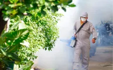 Phản ánh điểm nguy cơ sốt xuất huyết qua ứng dụng của ngành Y tế