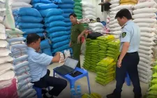 Sức mua gạo ST25 giảm trước thông tin bị làm giả