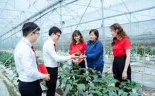 Cơ hội và thách thức của tín dụng xanh