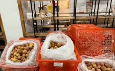 Vải thiều Việt Nam xuất sang thị trường Hoa Kỳ