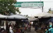 Chợ đầu mối Đền Lừ: Nơi nhịp sống chưa bao giờ tắt và khát vọng chưa từng ngủ quên