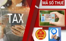 Từ 1/7, chính thức sử dụng số định danh cá nhân thay cho mã số thuế