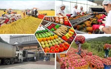 Đa dạng thị trường xuất khẩu nông sản