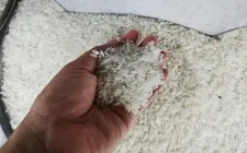 Giá gạo tại Nhật giảm sâu, chạm mức thấp nhất trong 3 tháng