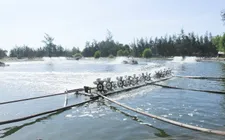 Bến Tre vượt mục tiêu 4.000 ha nuôi tôm công nghệ cao