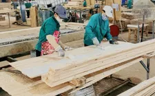Doanh nghiệp nỗ lực đạt mục tiêu xuất khẩu gỗ 18 tỷ USD