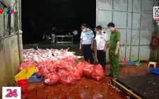 Khởi tố 3 đường dây buôn bán lợn bệnh, lợn chết