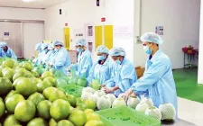 Cơ hội cho trái cây Việt Nam tại thị trường Mỹ