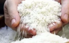 Hành trình 80 năm hạt gạo Việt chinh phục thế giới
