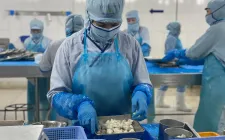 Logistics chuẩn Halal đưa hàng Việt vào thị trường tỷ USD