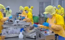 Hà Nội tập trung triển khai Nghị quyết 68 toàn thành phố