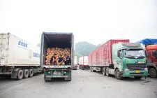 Tăng giám sát chủ động, tối ưu hóa giao thương biên giới