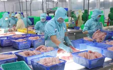 Xuất khẩu nông, lâm, thủy sản 8 tháng năm 2025 tăng 12%