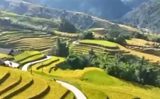 Du lịch nông nghiệp tạo đòn bẩy cho kinh tế nông thôn