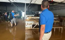 Ô tô ngập nước la liệt ở vùng bão lũ, các hãng bảo hiểm chi trả ra sao?