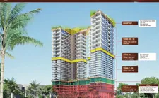 VTVC Việt Nam trúng thầu gói san lấp và thi công bóc hữu cơ dự án gần 3 ha