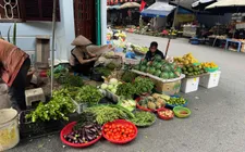 Giá rau xanh Hà Nội vẫn “neo cao”