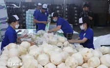 Khai mở giá trị tỷ đô cho thị trường xuất khẩu dừa