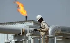 Nâng dự báo nhu cầu dầu mỏ toàn cầu