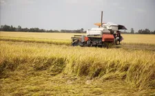 Mỹ tăng cường xúc tiến thương mại nông nghiệp với Việt Nam và một số nước