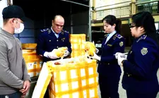 Phát hiện số lượng lớn chân gà rút xương, gà ủ muối không rõ nguồn gốc