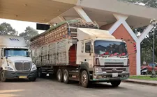 Tạm dừng áp dụng Nghị định số 46 về an toàn thực phẩm đến hết ngày 15/4/2026