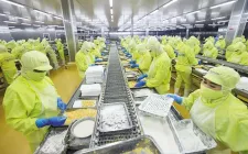 Doanh nghiệp xuất khẩu thực phẩm cần lưu ý quy định đăng ký mới của Trung Quốc