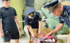 Phát hiện gần 15.000 sản phẩm có dấu hiệu xâm phạm quyền sở hữu trí tuệ