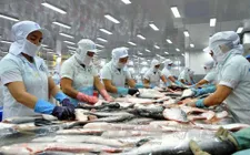 ASEAN - Thị trường tiềm năng cho xuất khẩu cá tra