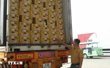 Xuất khẩu qua cửa khẩu Lào Cai tăng hơn 60%, sầu riêng lập kỷ lục