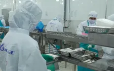 Xuất khẩu nông, lâm, thủy sản đạt gần 36 tỷ USD