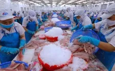 Tháo điểm nghẽn để cán đích xuất khẩu nông, lâm, thủy sản