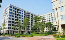 Phát triển nhà ở cho thuê sẽ giúp hạ nhiệt giá nhà