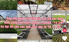 Chưa cấp phép cho doanh nghiệp nào tuyển chọn lao động sang Israel